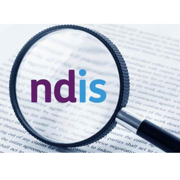 NDIS logo FINAL