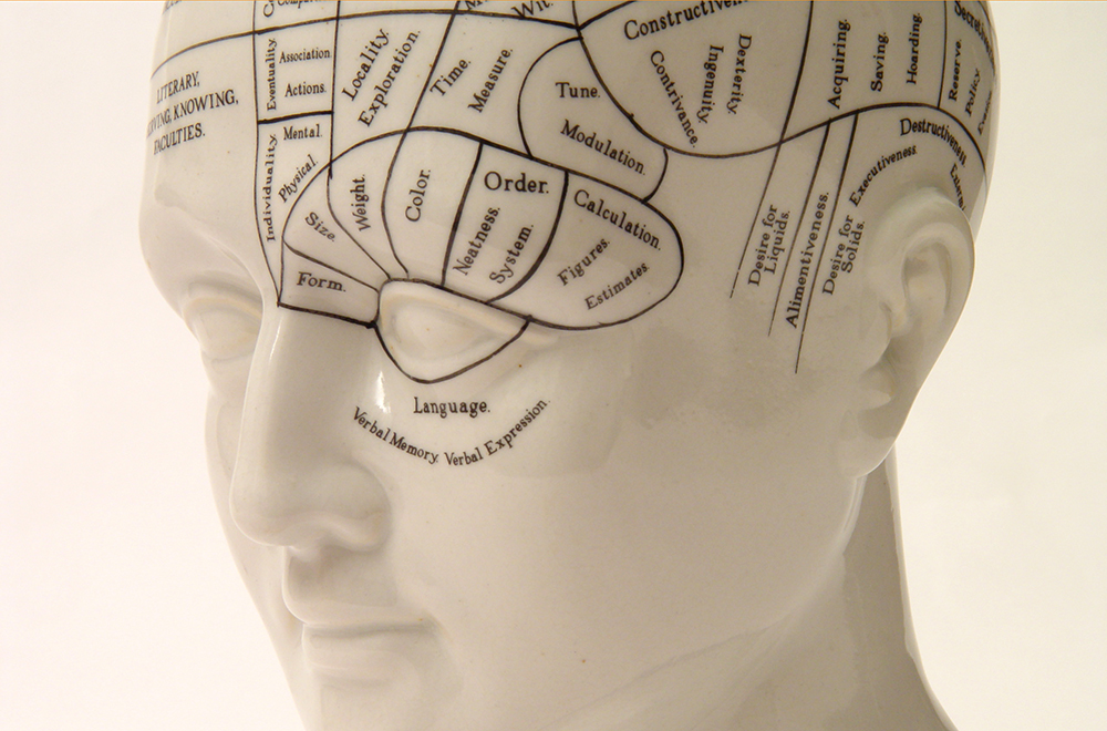 Phrenology head shot against white background. Three quarter view from the front left.Others in Series