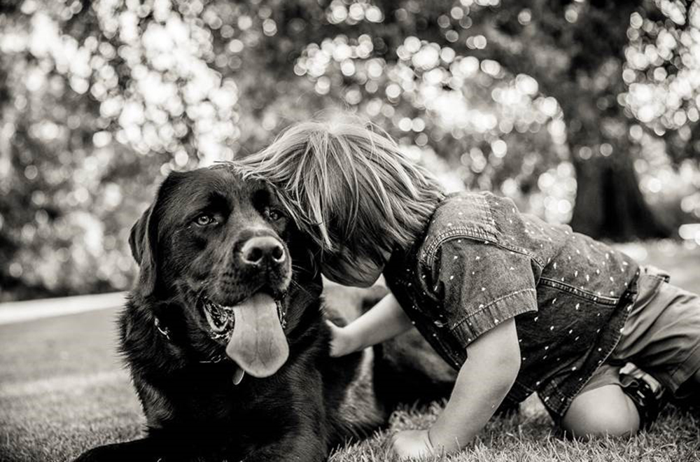 Dog for Kids B and whitee FINAL
