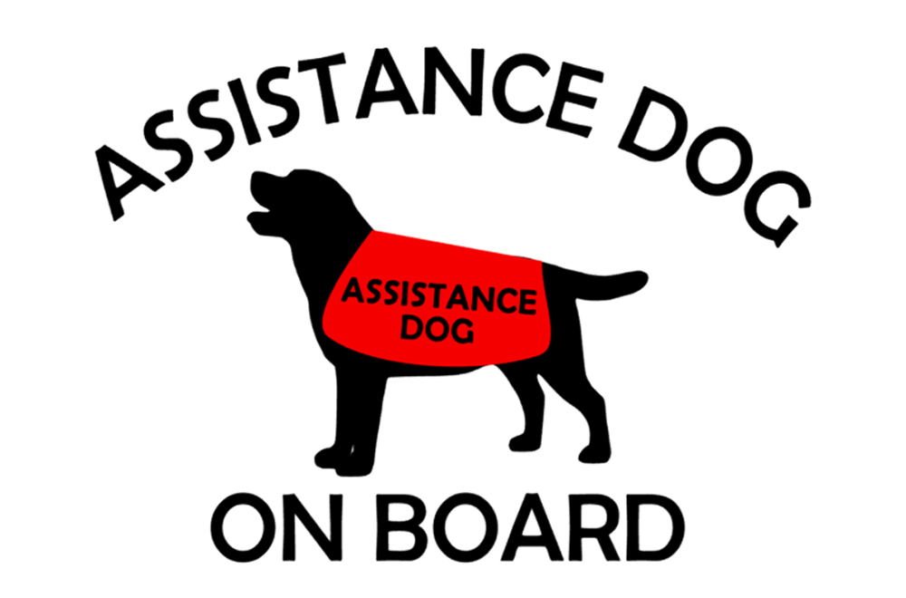 Assistance dog 2_1000x660px