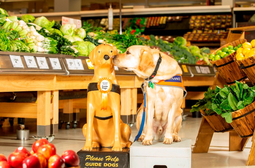 Meet the Coles ‘top dog’ Freedom2Live