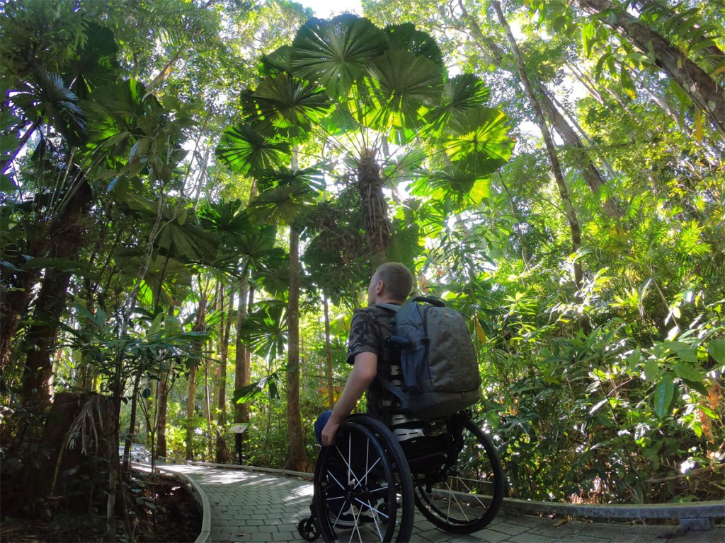 Rain Forest FINAL