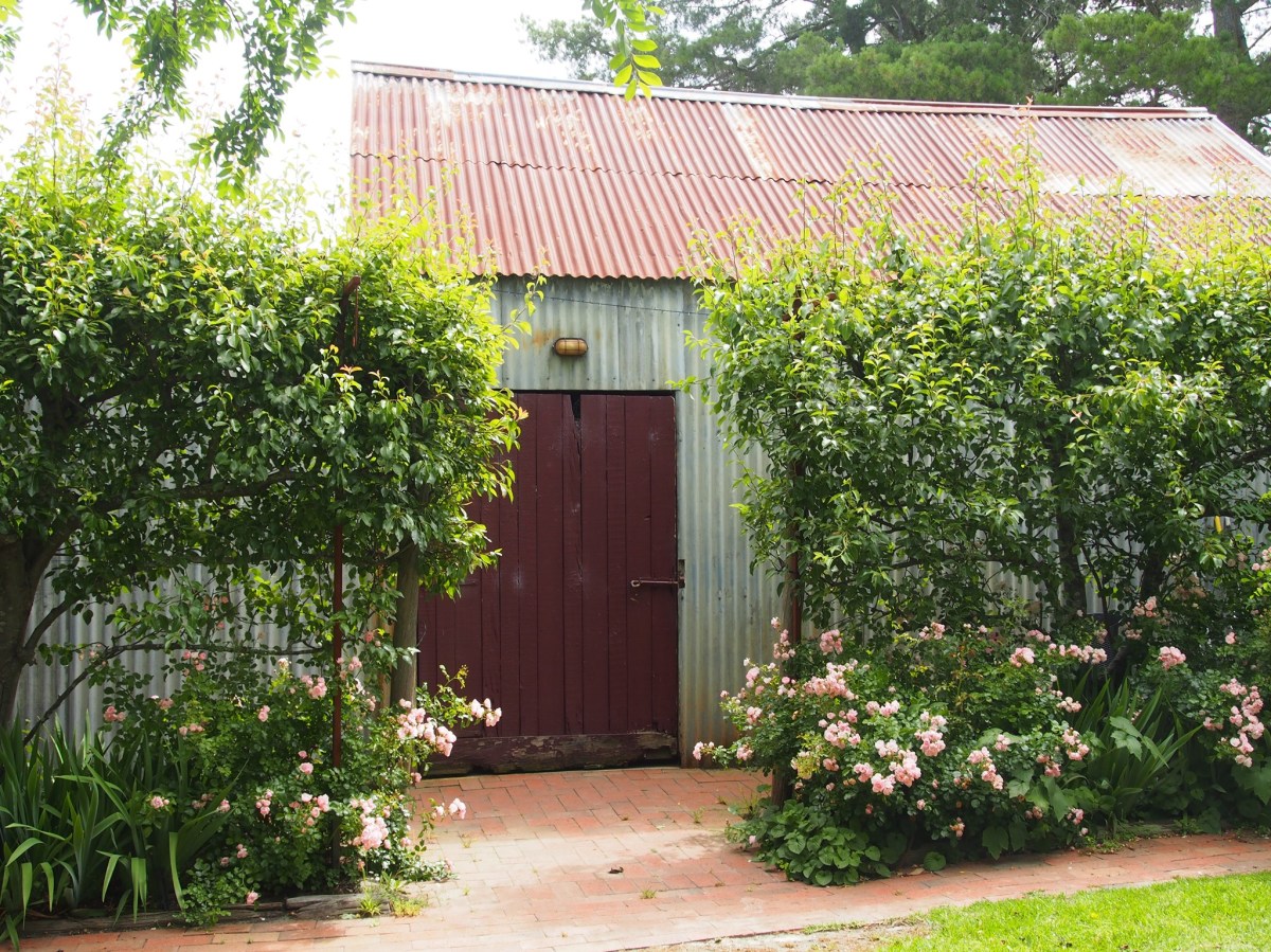 A rustic looking old building with a red corrugated roof and red door, surrounded by green hedges on both sides.