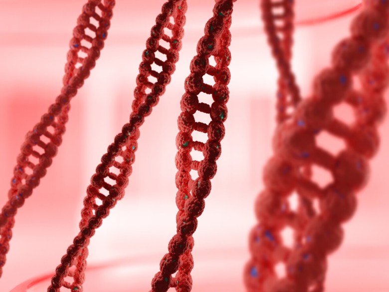 A graphic image of strands of DNA in red.