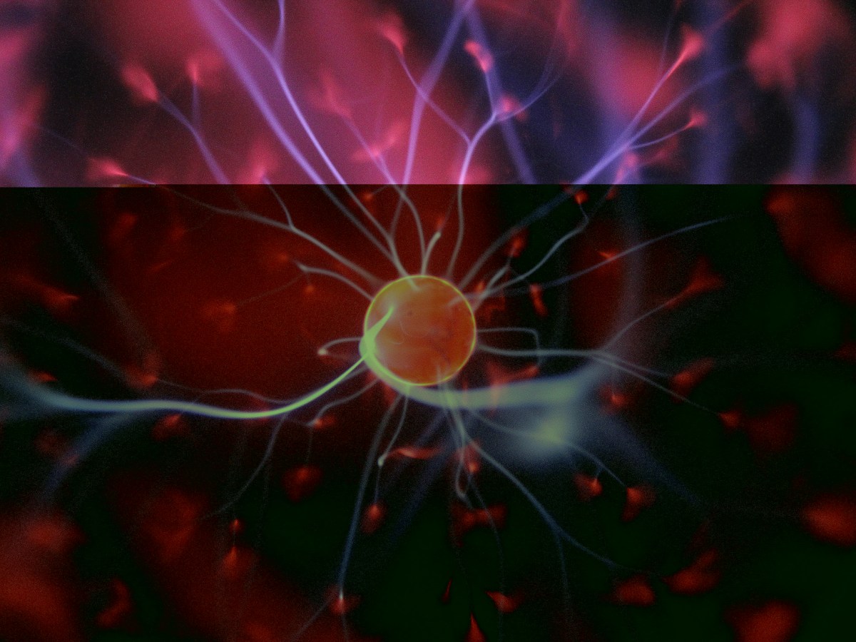 A rendered image of a neuron on a purple and pink background.