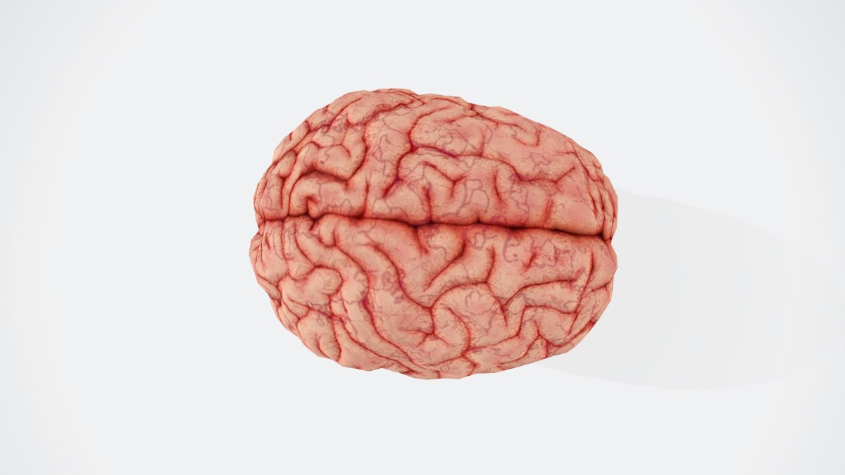 A pink brain, seen from above, representing the brain injury conference.