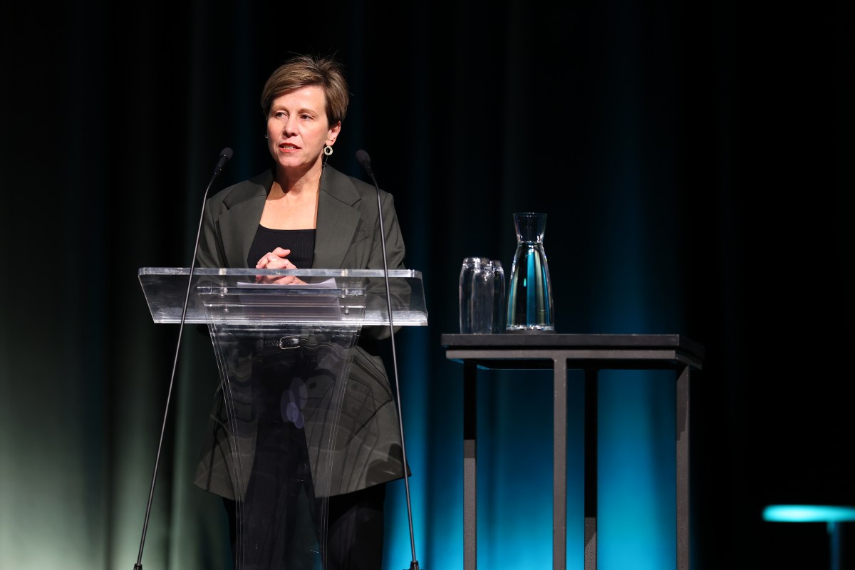 Jenny McAllister, a middle-aged woman with short brown hair, stands on stage behind a lectern. She is speaking. She is wearing a grey blazer.